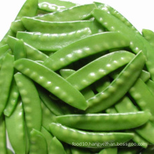 Hot sale fresh IQF frozen peapod